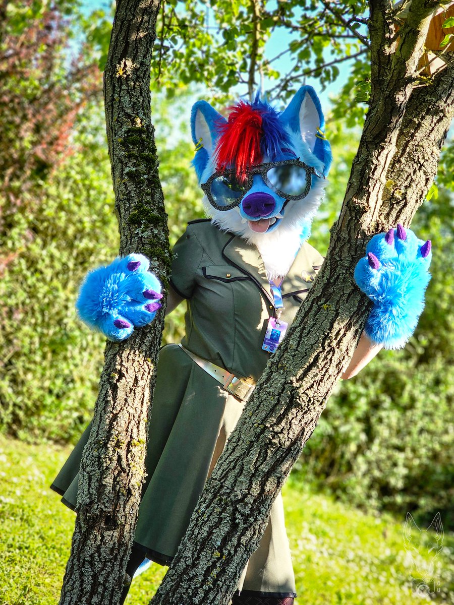 Pitou Rikou tweet media