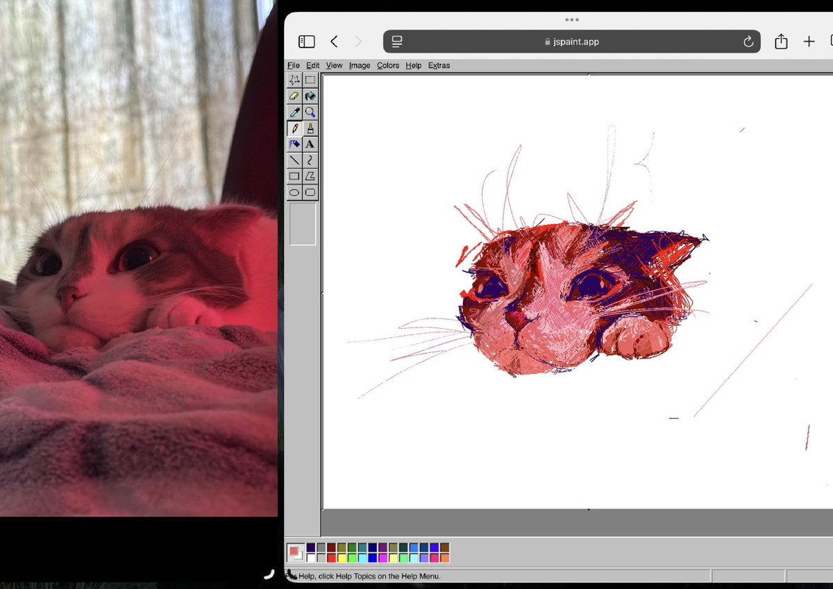 Anya (@searchsignal) on Twitter photo 