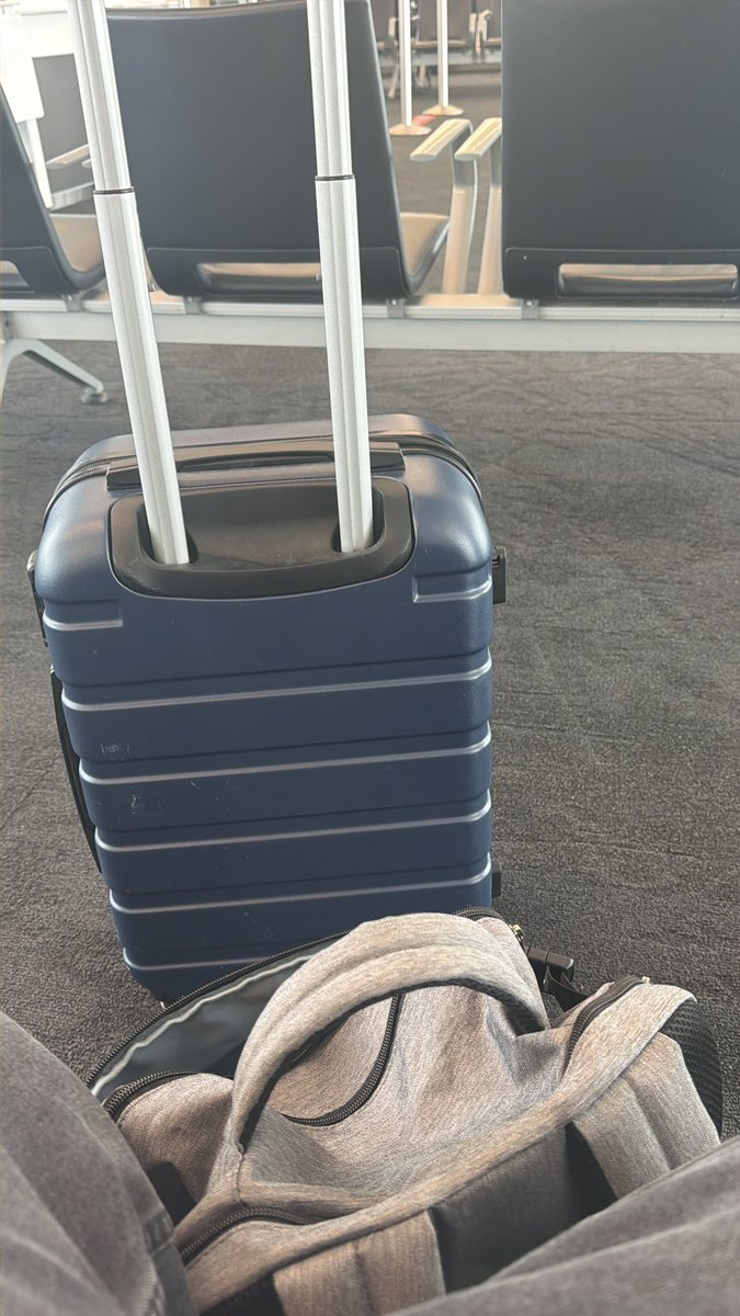 LD|Hino➡️GOML2026 tweet media