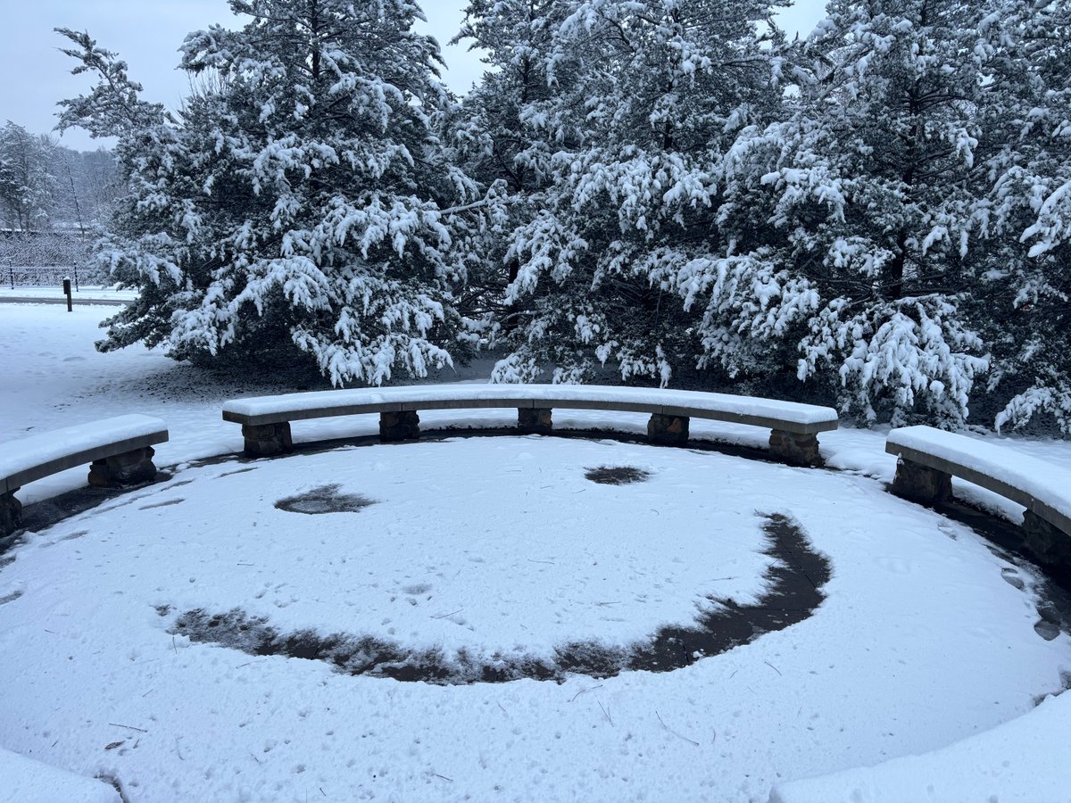 Bernheim Forest tweet media