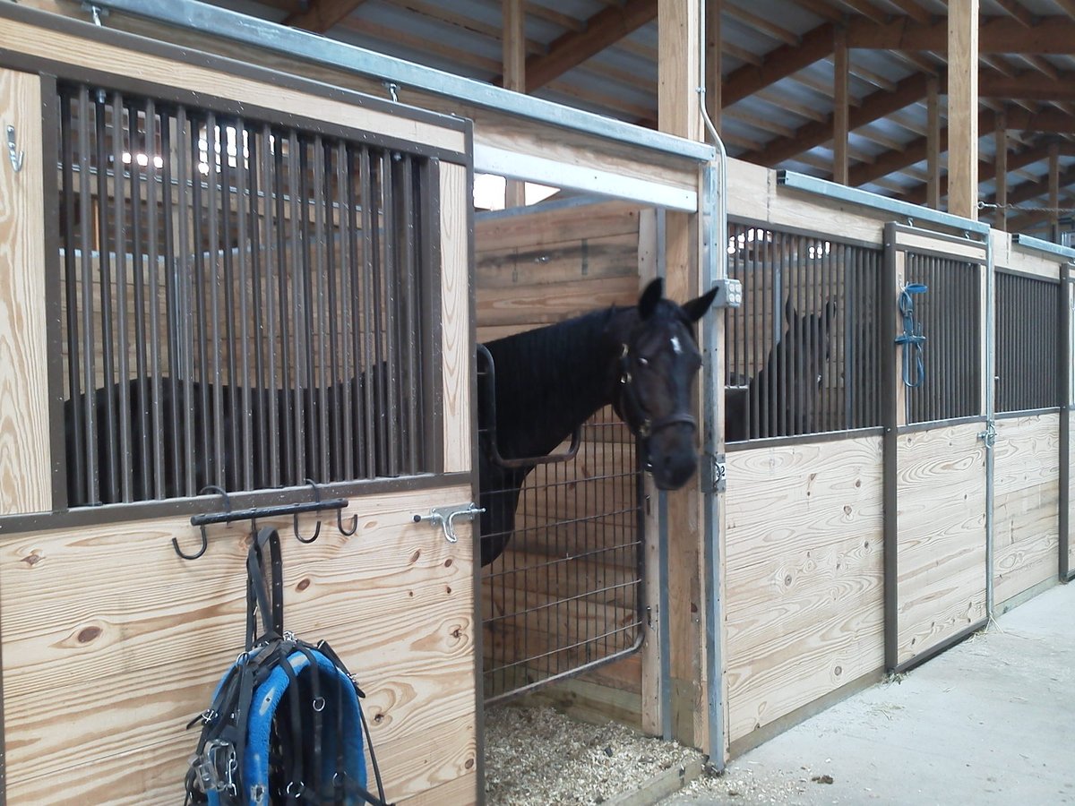 Buffalo Raceway tweet media