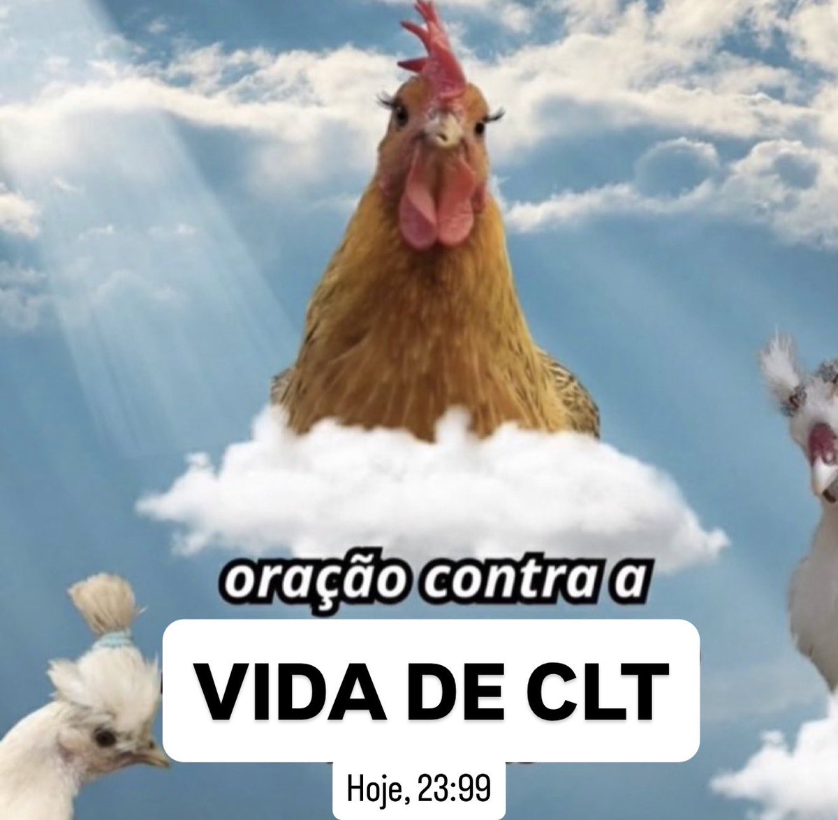 Todo dia uma dica de concurso aqui tweet media