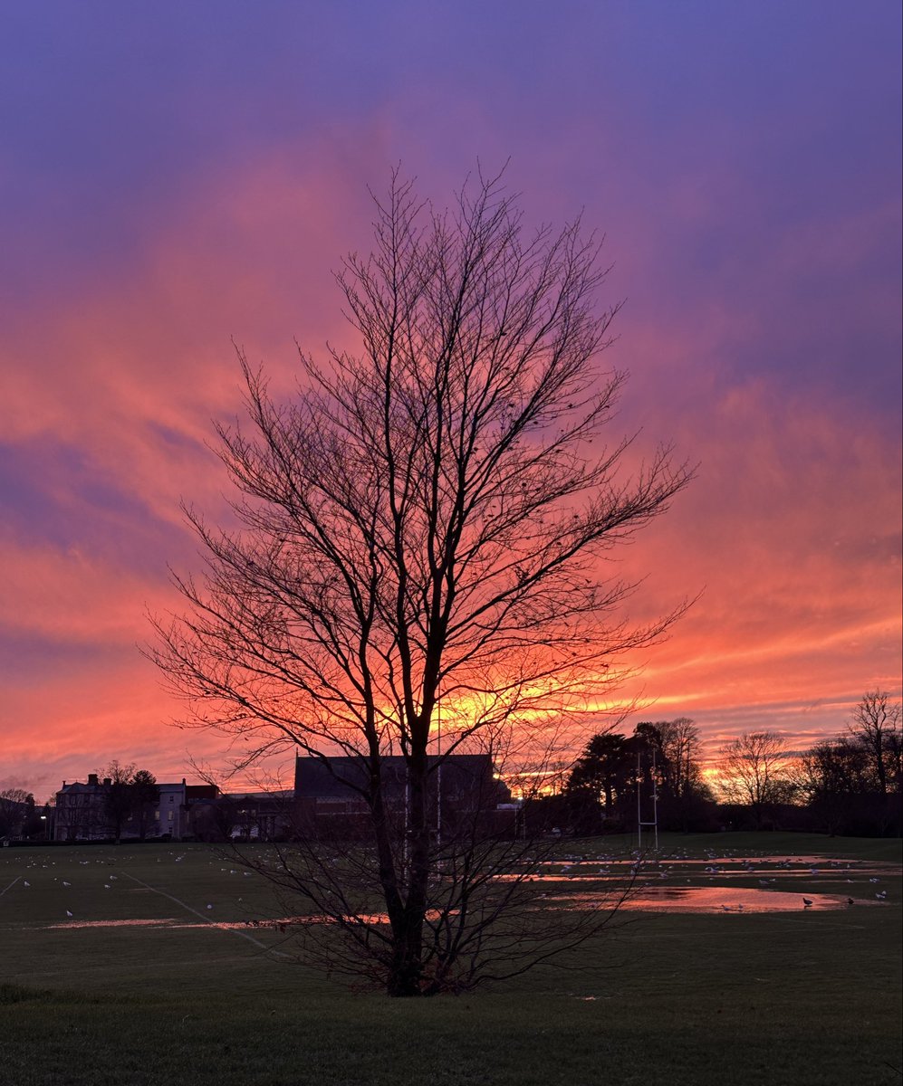 ag1759's tweet photo. Lovely sunset over Terenure College this evening 🌅@TerenureCollege @terenurerugby @LovinDublin @CarlowWeather https://t.co/6dJQ8bnXQX