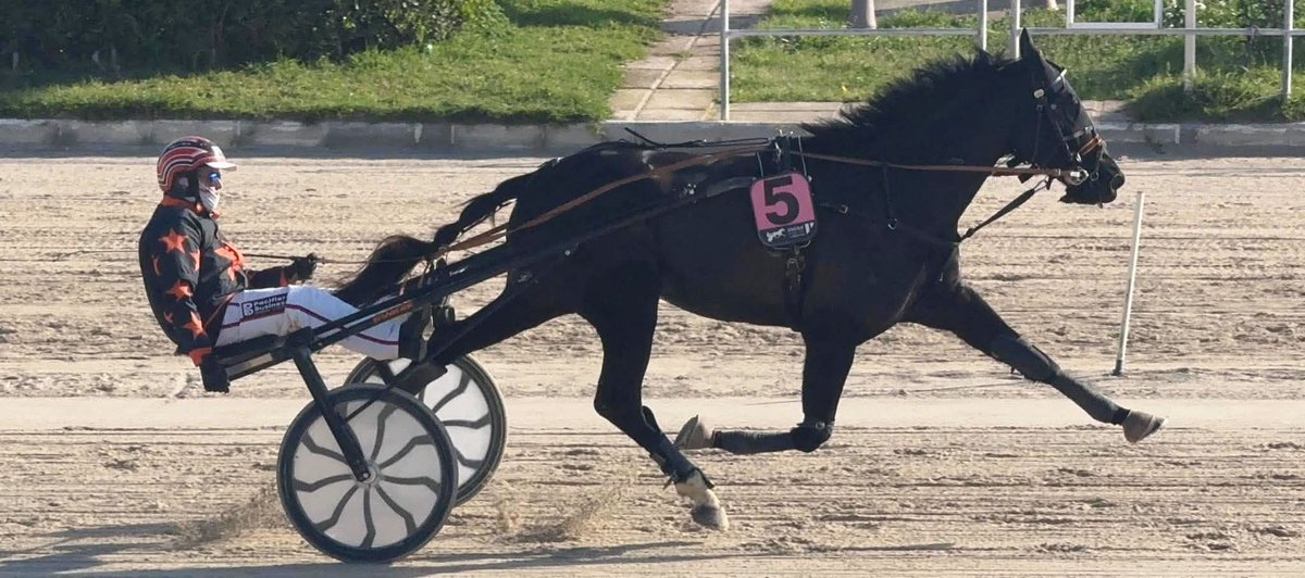 💥 LIONEL DE FONT i GREEN DE LARRÉ son molt favorits a la reunió PREMIUM de SON PARDO 🏟️ 
⛑️ TROT 🌍 MALLORCA 
facebook.com/share/p/1TxBCU…
