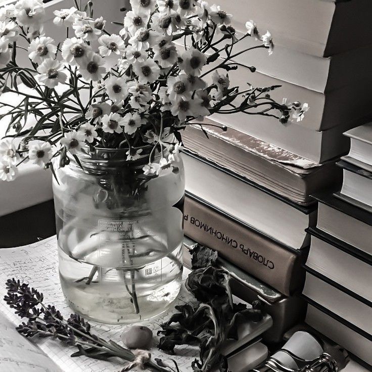 rosy_gates's tweet image. ･ ｡ﾟ☆: *.☽ .* :☆ﾟ. LIDOS EM 2026
 --------- ✧⡈⡠*✩a thread♒︎

"Que eu seja seu segredo, então. Esconda minhas palavras em seu bolso. Que lhe sirvam de armadura"
                        — Promessas Cruéis, 2.