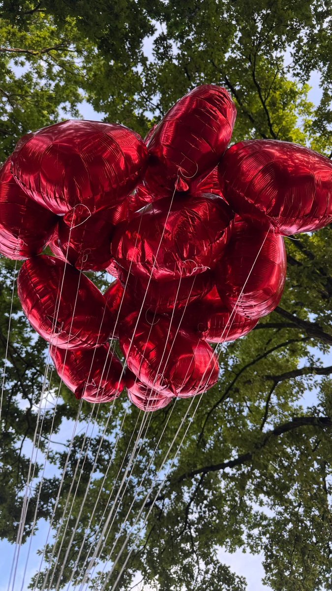 LMNA cardiac tweet media