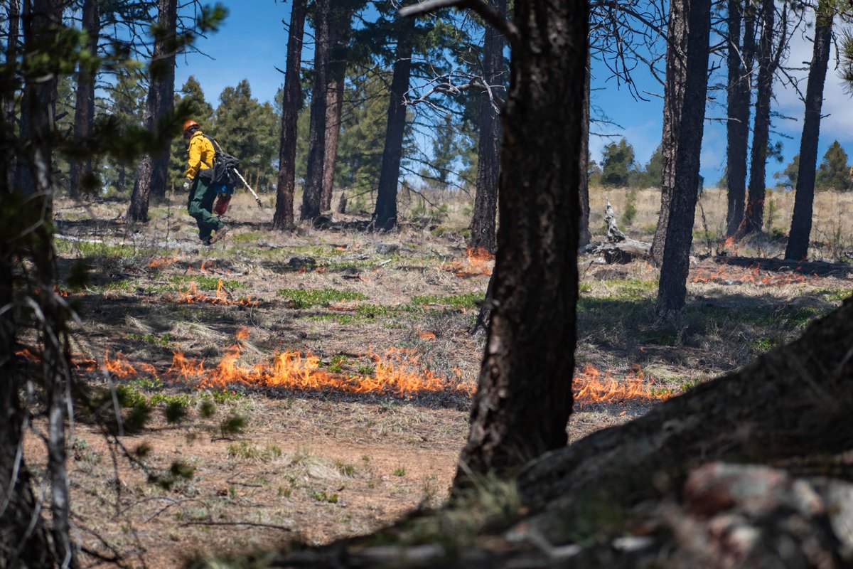 USDA Forest Service tweet media