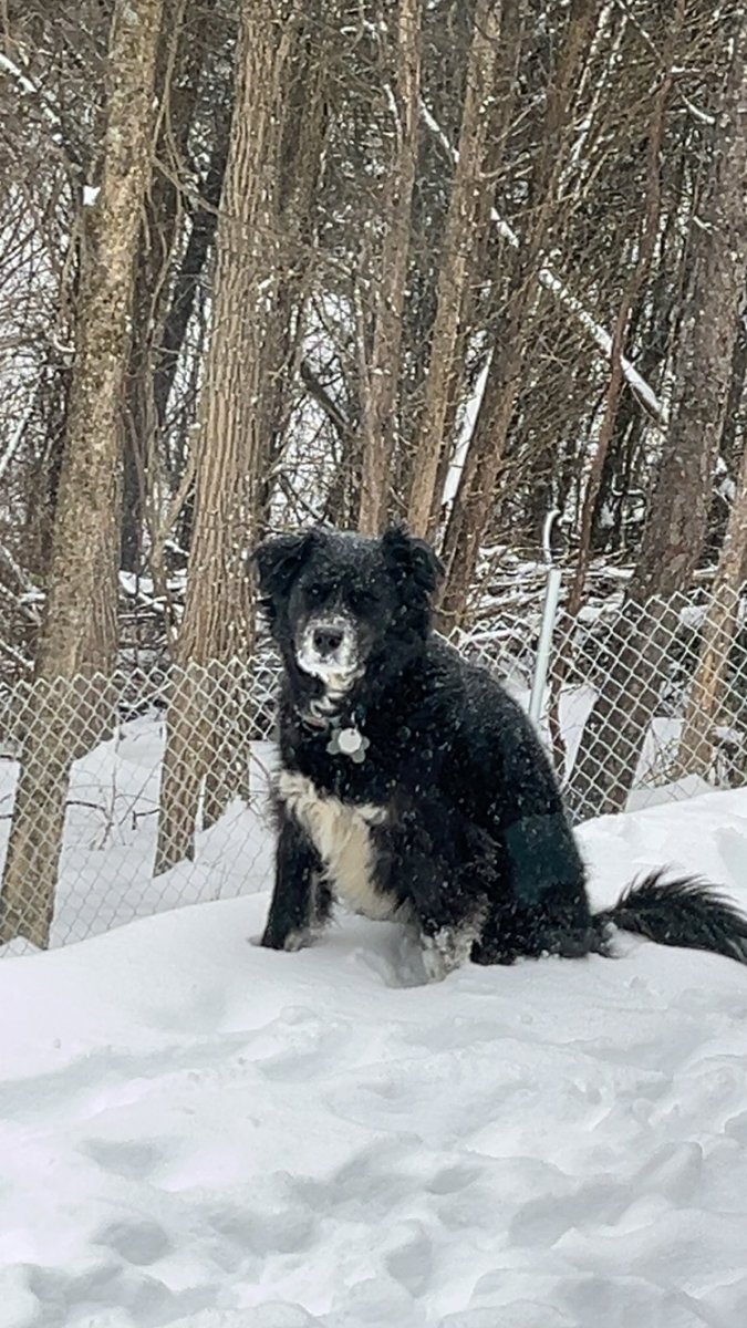 Draven🧡 tweet media