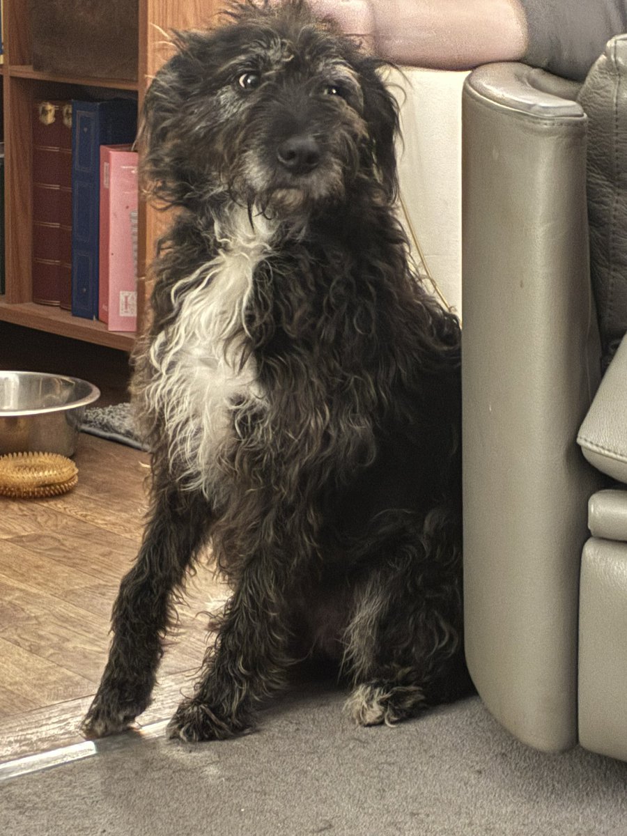 Denise Connolly Geraghty tweet media