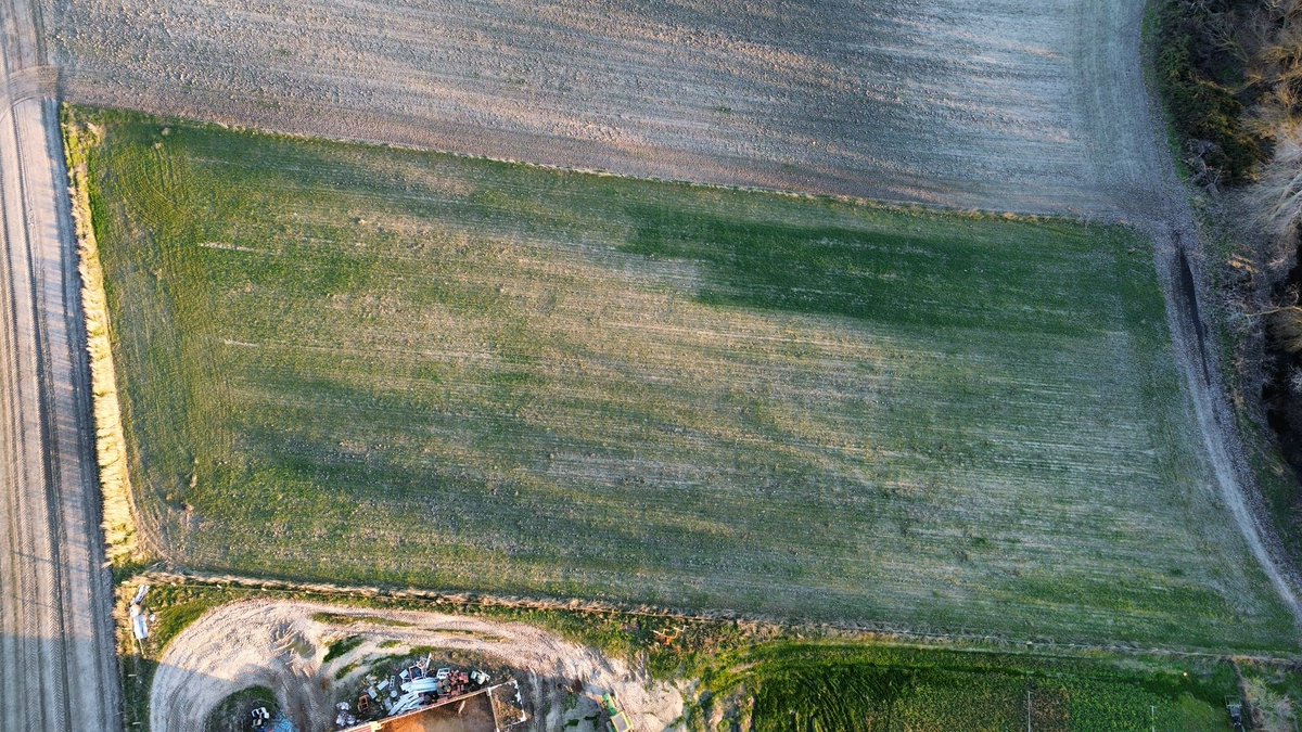 Bernardo Garcia Diaz 🇪🇸 tweet media