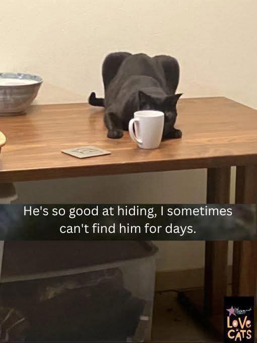 Ulrike Lebt (@ulrikelebt1) on Twitter photo 