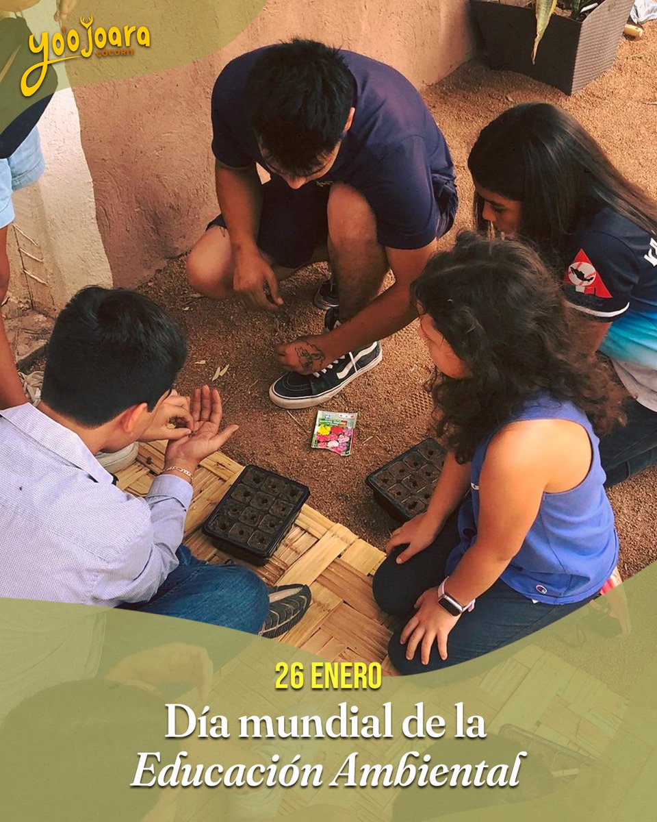 Día mundial de la Educación Ambiental 🌵🦋🌅
Esta conmemoración busca que cada persona identifique y busque soluciones a las problemáticas ambientales y participe activamente en su comunidad
