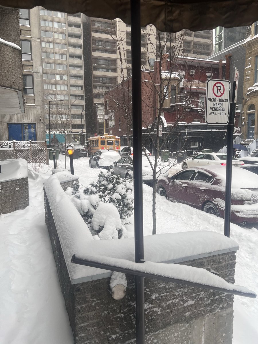 Panpanpan🐊 tweet media