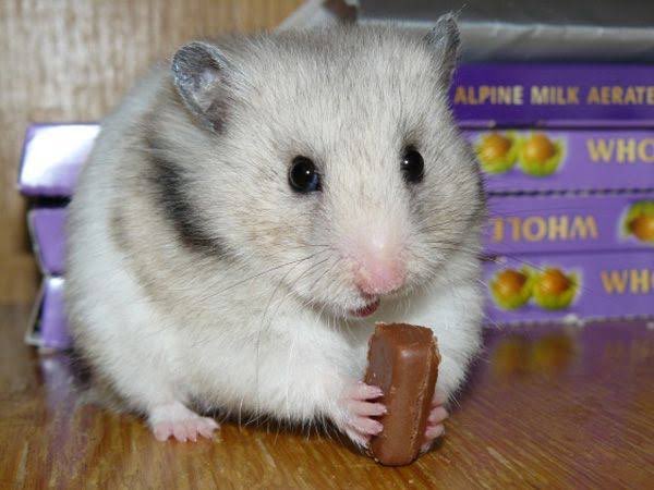 g4tewaydrug's tweet image. 