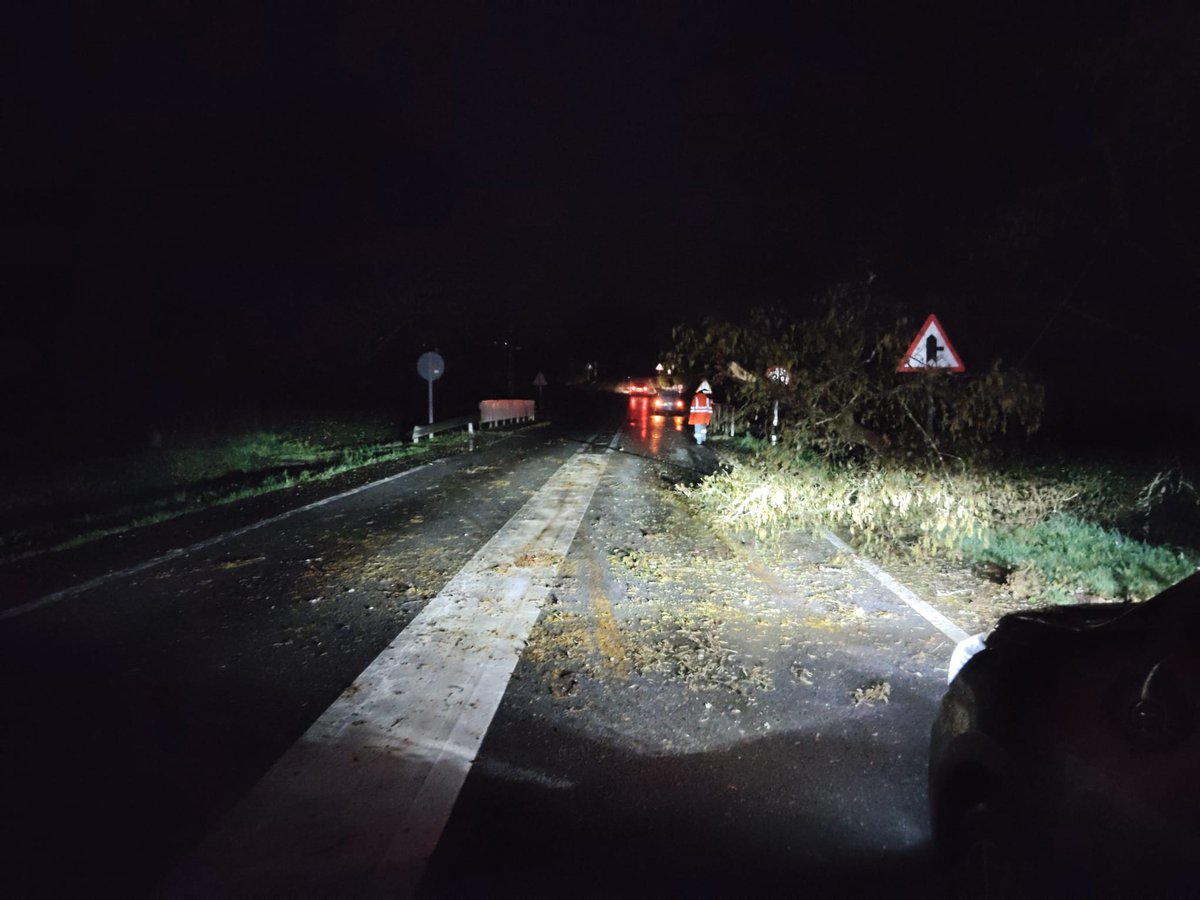 Diario_Pontev's tweet image. #BorrascaJoseph 🚨 Siguen las incidencias en la provincia

🚔 Rescatado un joven de 20 años en #Portas al intentar cruzar un camino anegado

❌ Cortada una carretera en #Barro por riesgo eléctrico al caer un árbol sobre un cableado de alta tensión

🔗 1GzjUF.short.gy/cUGbly