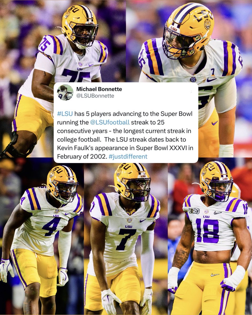You know what they say, It's Just Different <a href="/LSUfootball/">LSU Football</a> 🏟️