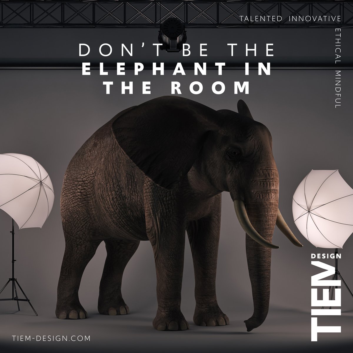 TIEM Design tweet media