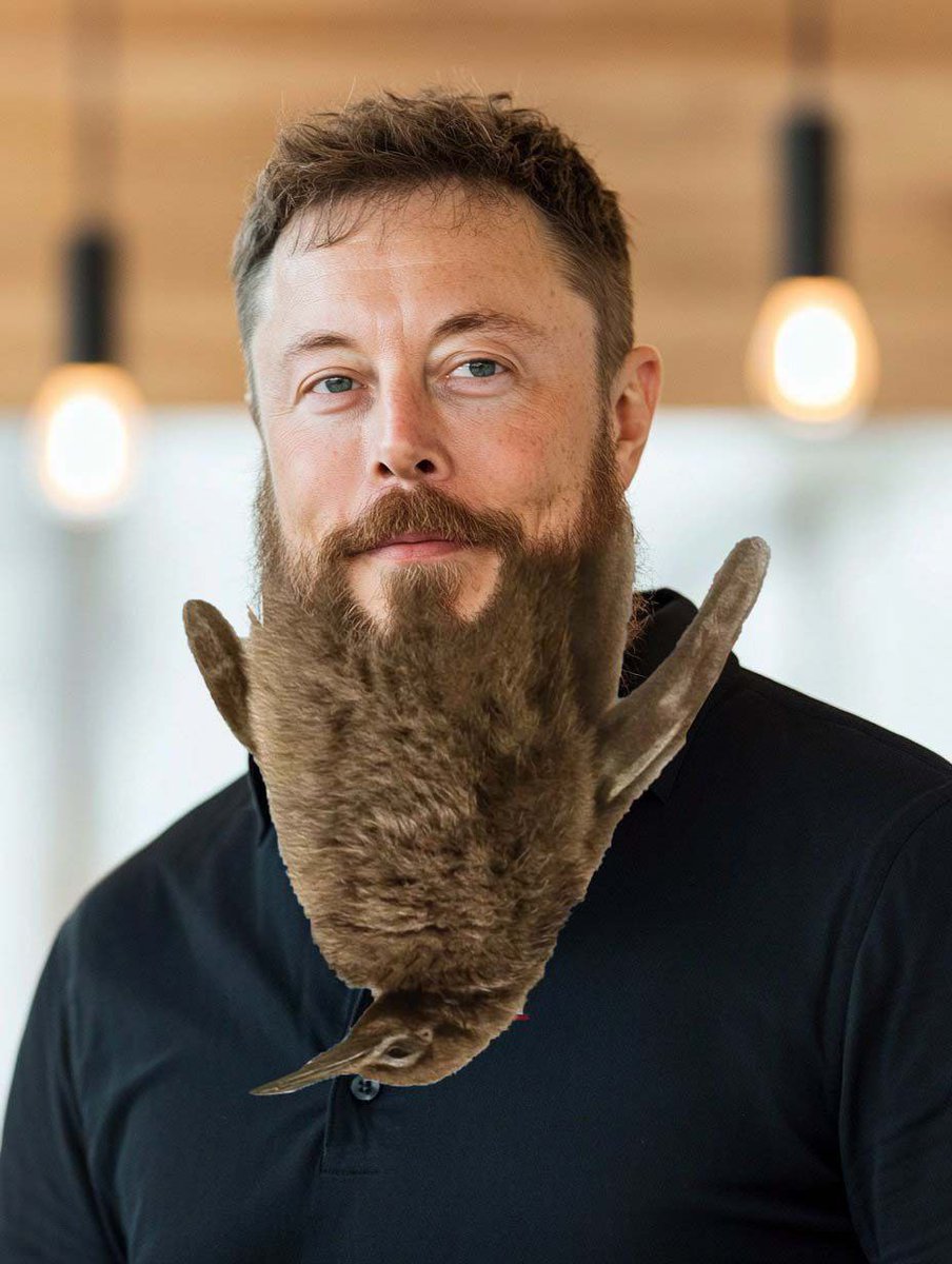 BİG CRYPTO tweet media