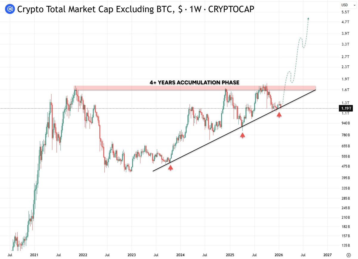 1000xgirl tweet media