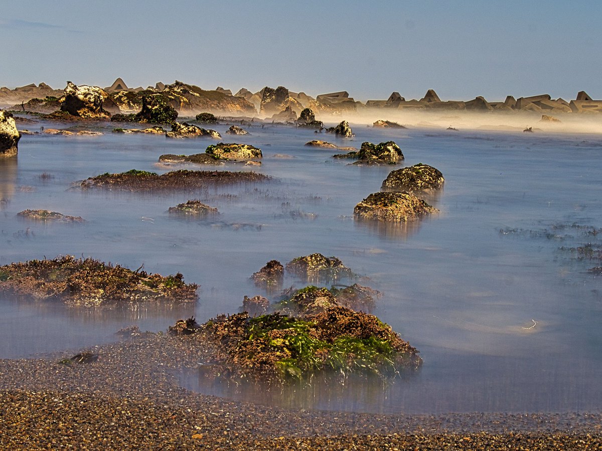 おはようございます。                  

#EーM5III 
#ファインダー越しの私の世界 
#iwakicameraclub