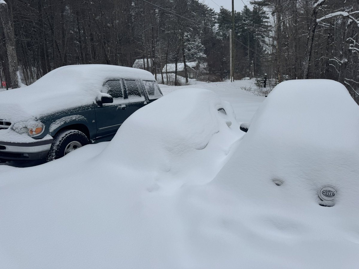 Aerf (Project: Midnight) tweet media