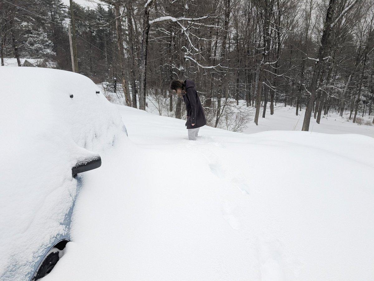 Aerf (Project: Midnight) tweet media