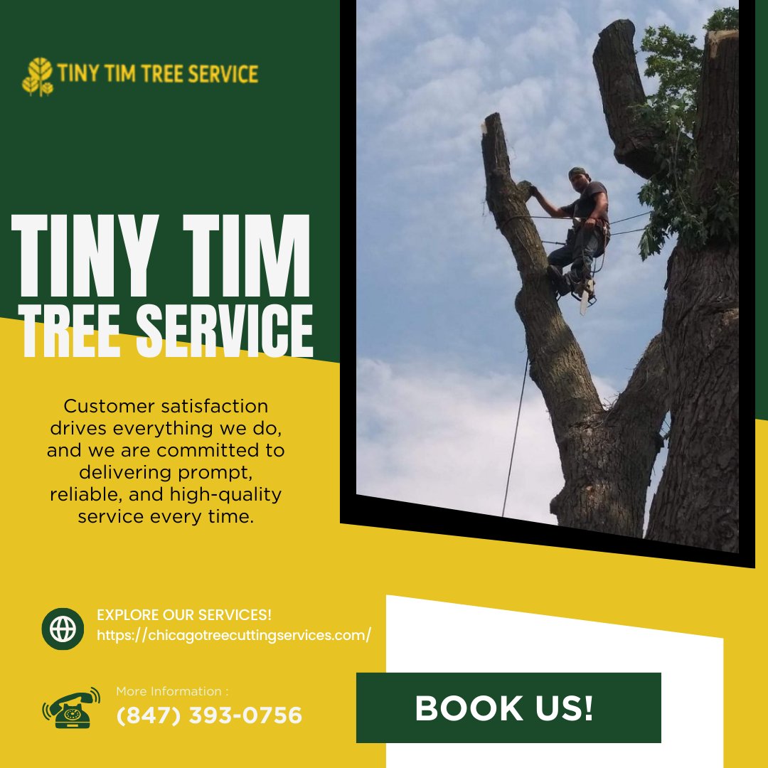 Tiny Tim Tree Service (@tinytimtreeserv) / Posts / X