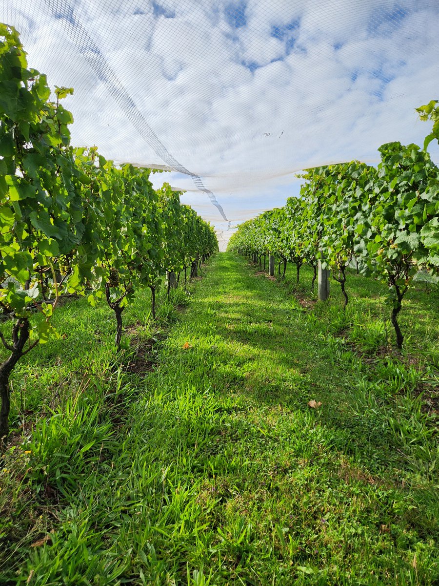 one of the best times of the year