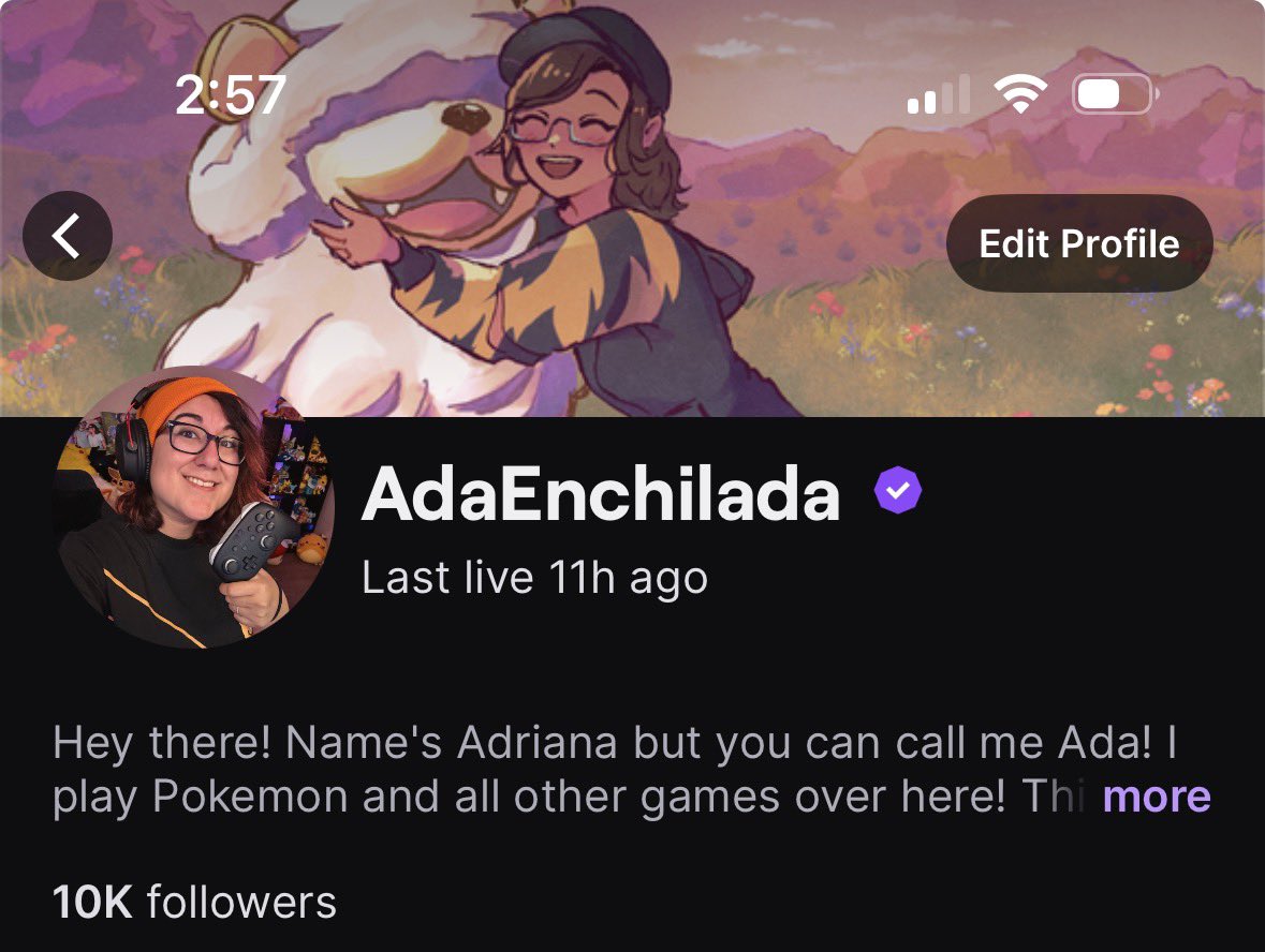 AdaEnchilada tweet media