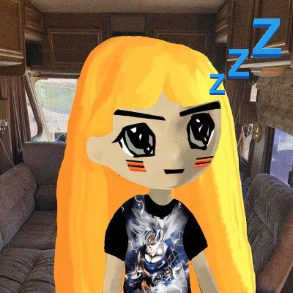 Losmi 🐬 tweet media