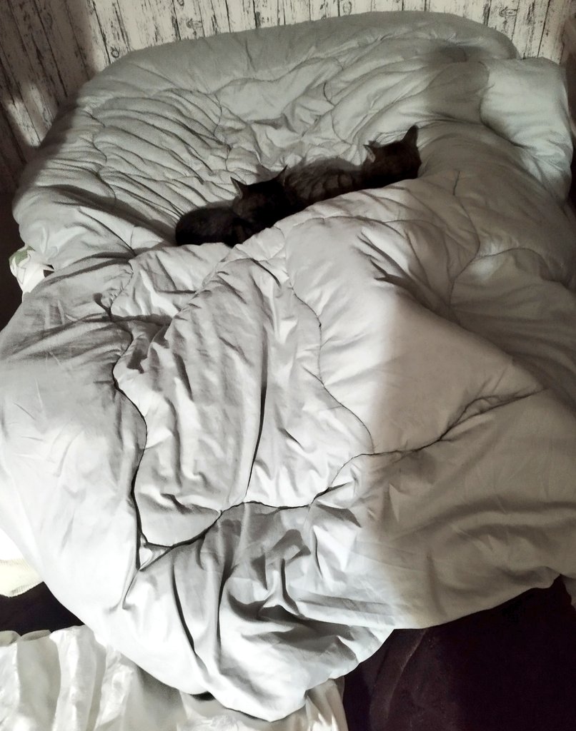 寝る 自分がどう寝てたかわからん