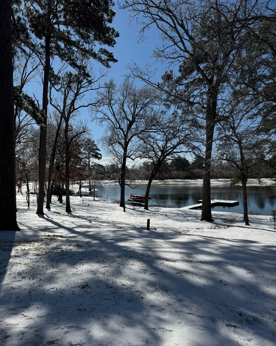 UT Tyler tweet media