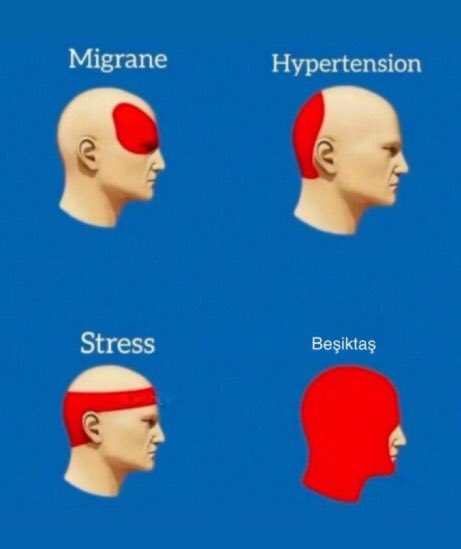 milotkartal's tweet image. 