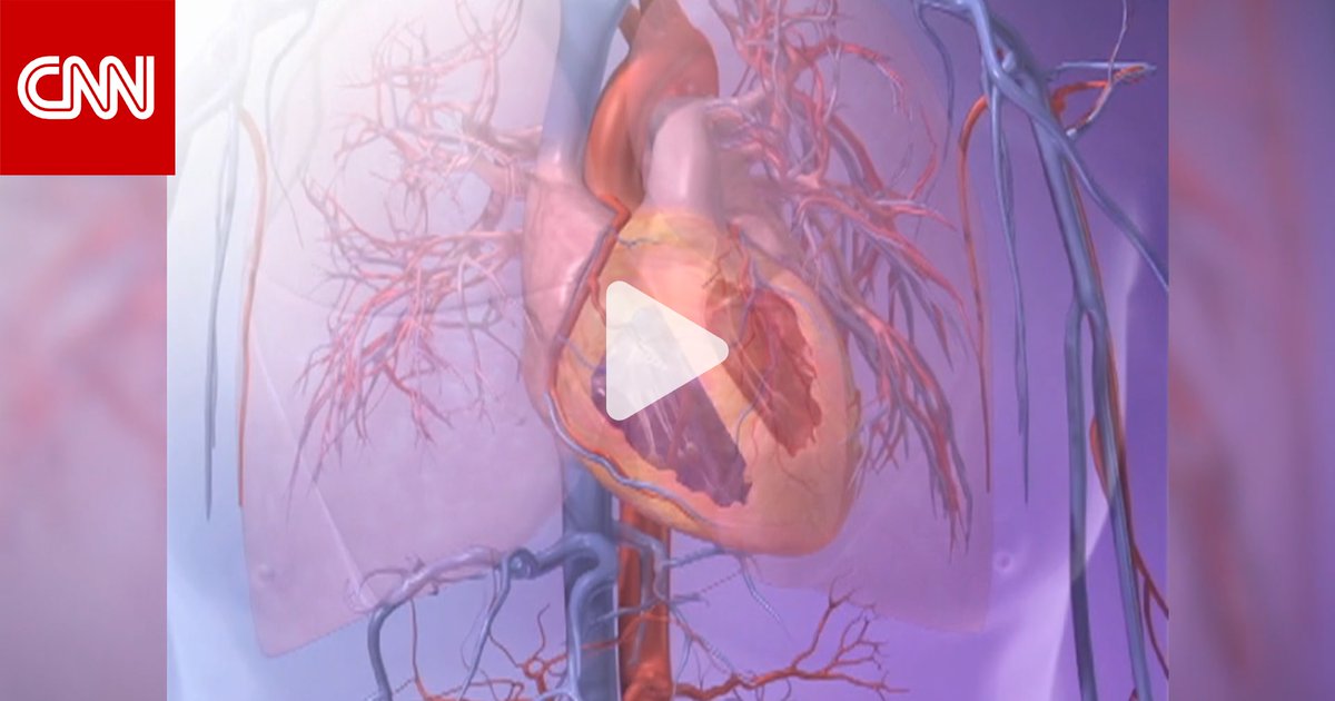 دراسة: القلق بشأن المال والأمن الغذائي قد يُسرّع من شيخوخة القلب أكثر من عوامل الخطر التقليدية لأمراض القلب والأوعية الدموية 