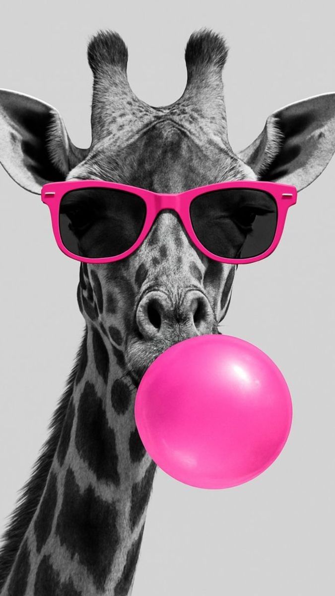 Melisa Greco tweet media