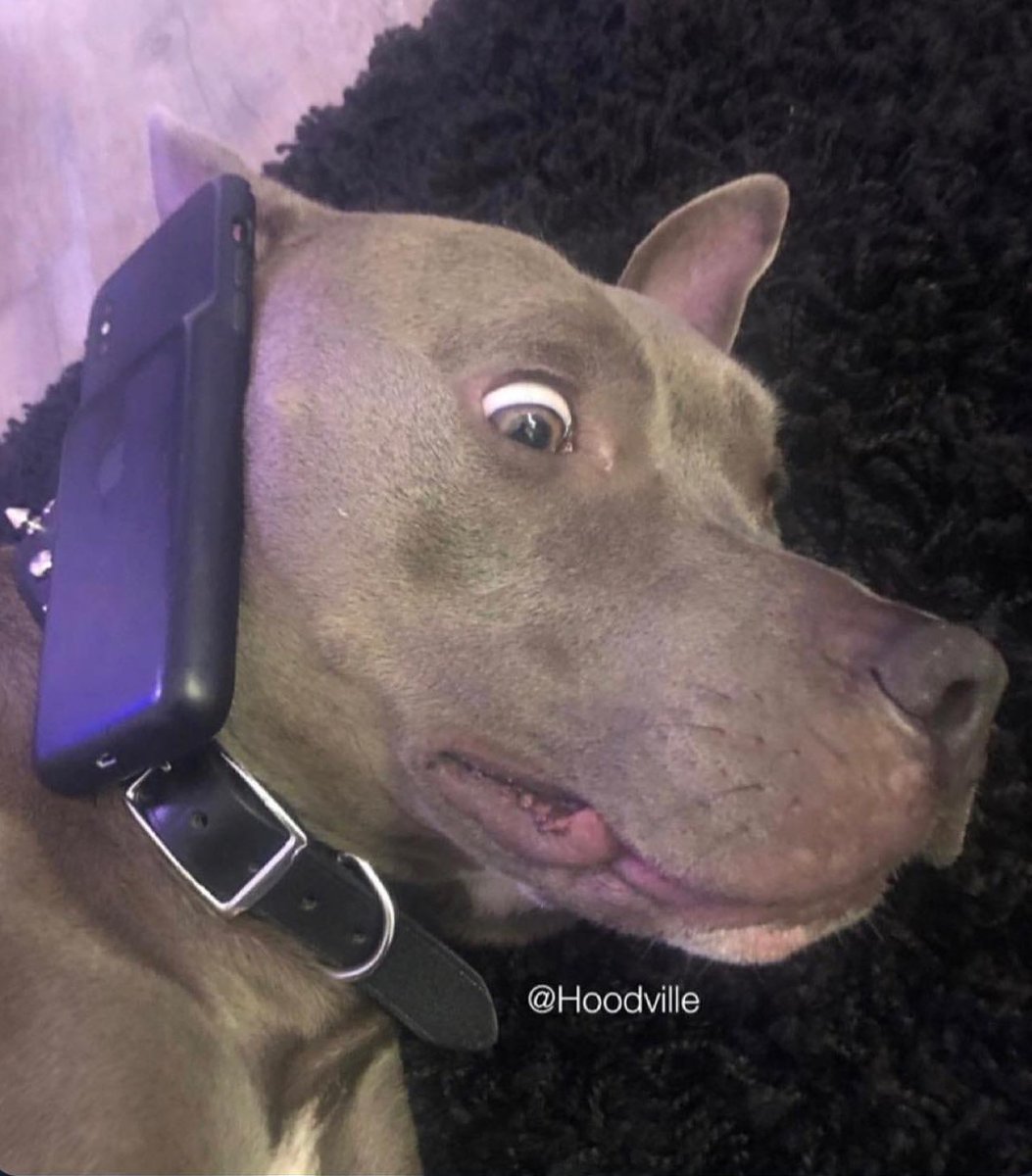 Hoodville_'s tweet image. When she's telling you how much of a dog her ex was and you try not to bark