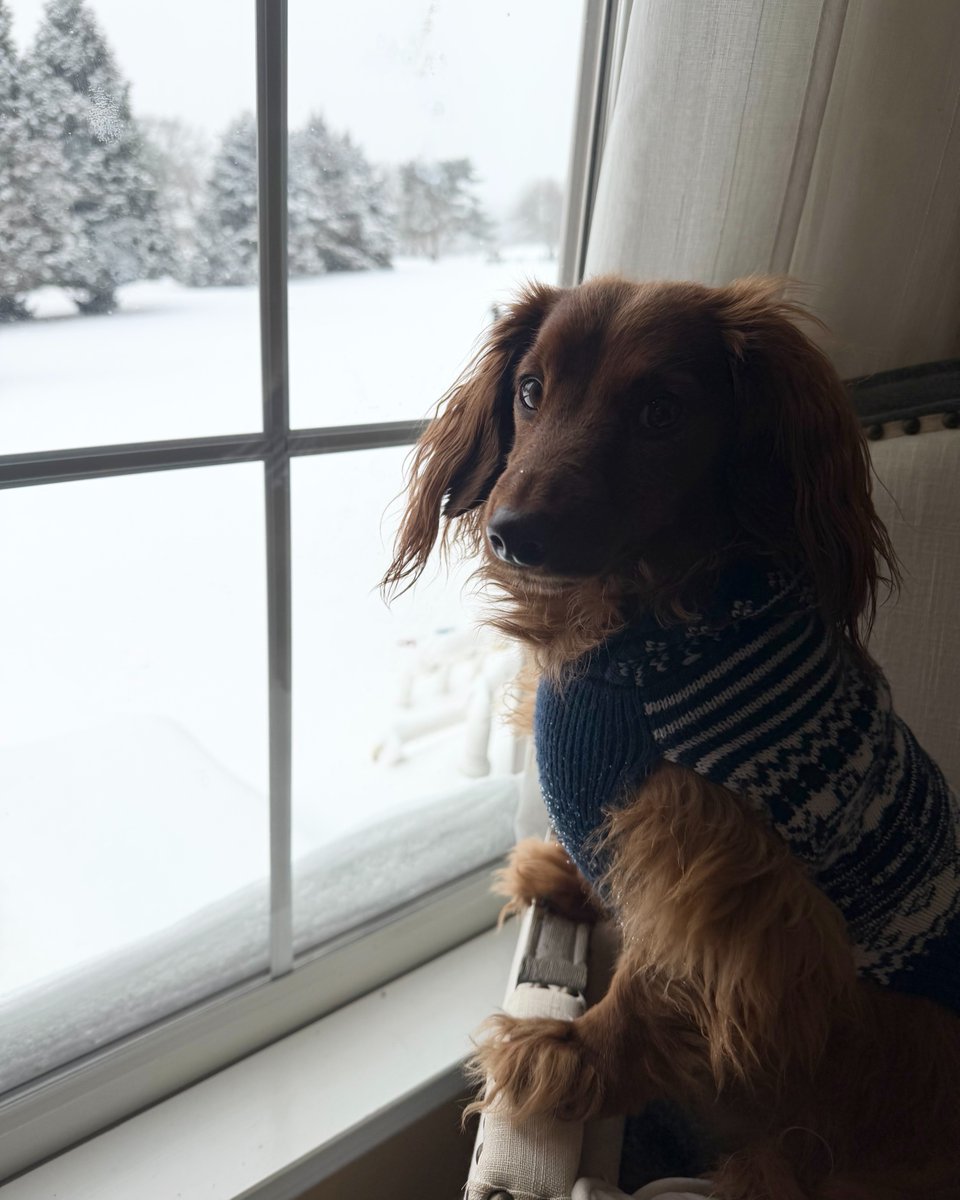 Seubert & Associates, Inc. tweet media