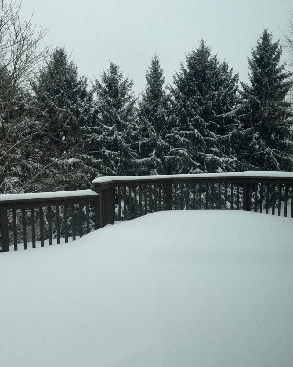 Seubert & Associates, Inc. tweet media