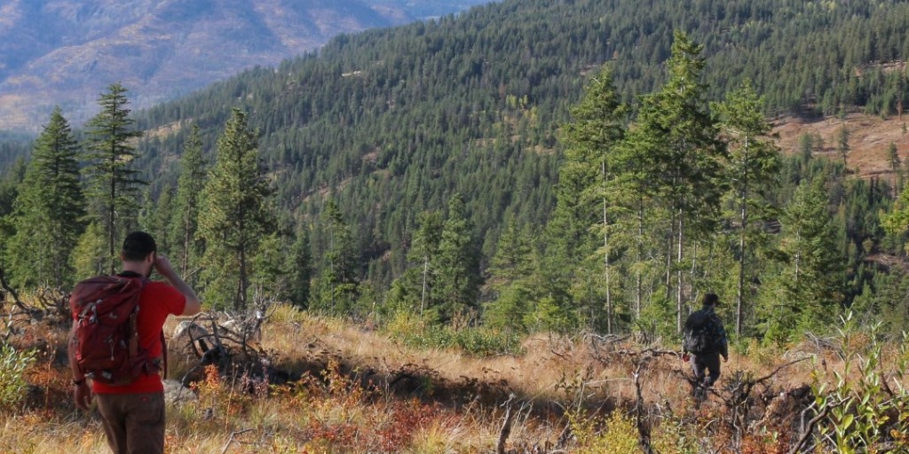 SFU Faculty of Environment tweet media