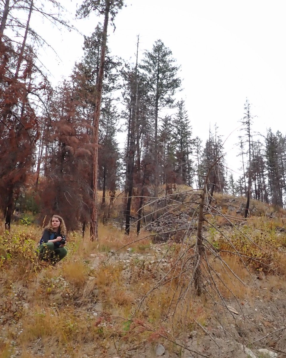 SFU Faculty of Environment tweet media