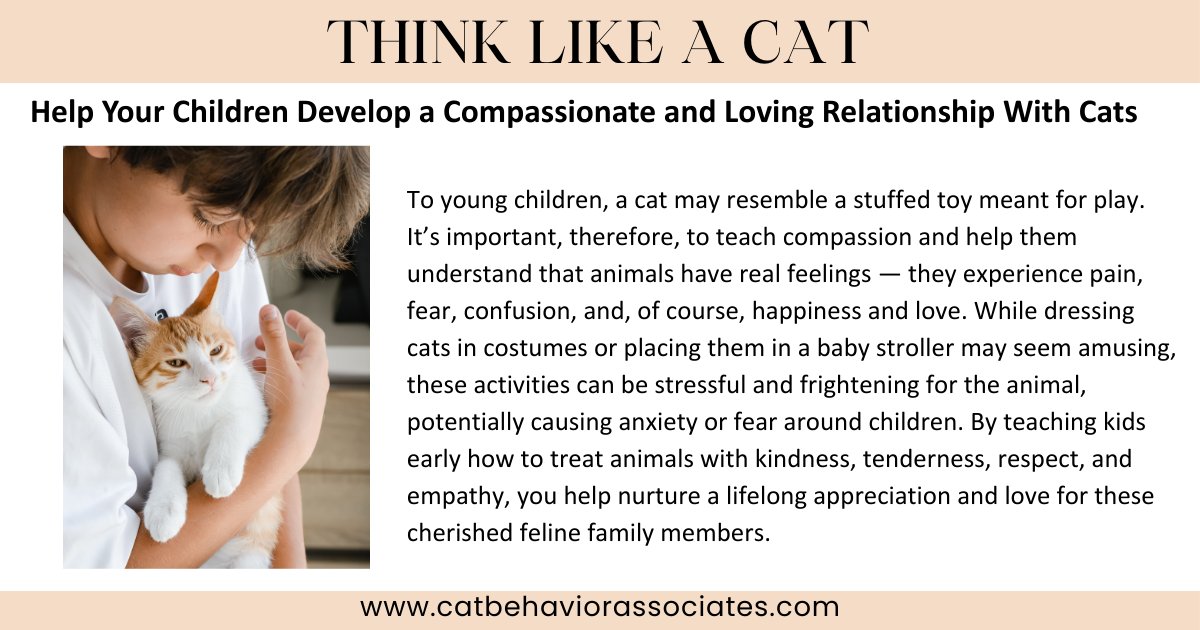 Teaching children to interact gently and respectfully with cats lays the foundation for empathy, responsibility, and a lifelong love of animals.