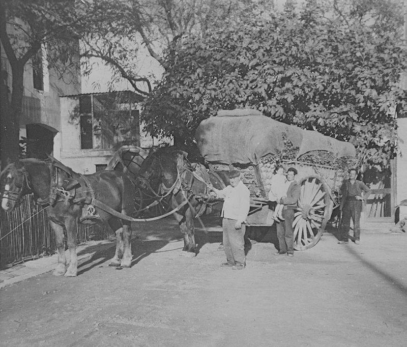 Ireneu Castillo tweet media