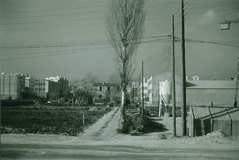 Ireneu Castillo tweet media