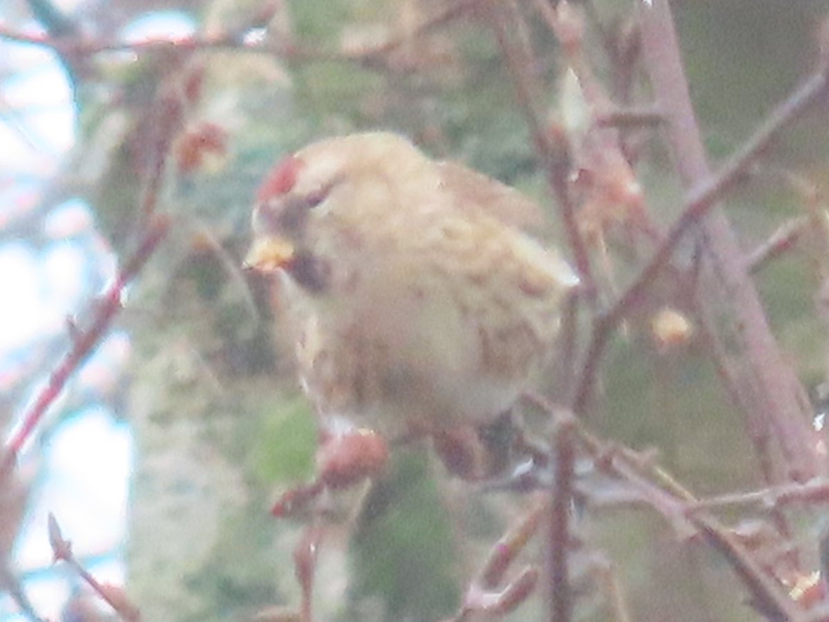 John Hayward tweet media