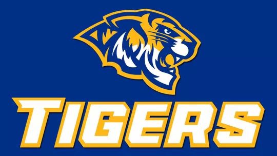 Gavin Recoder tweet media