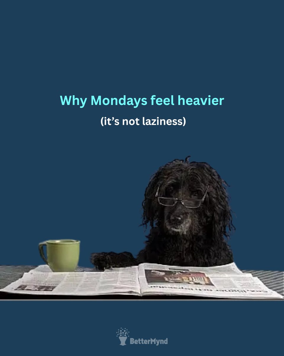 BetterMynd tweet media