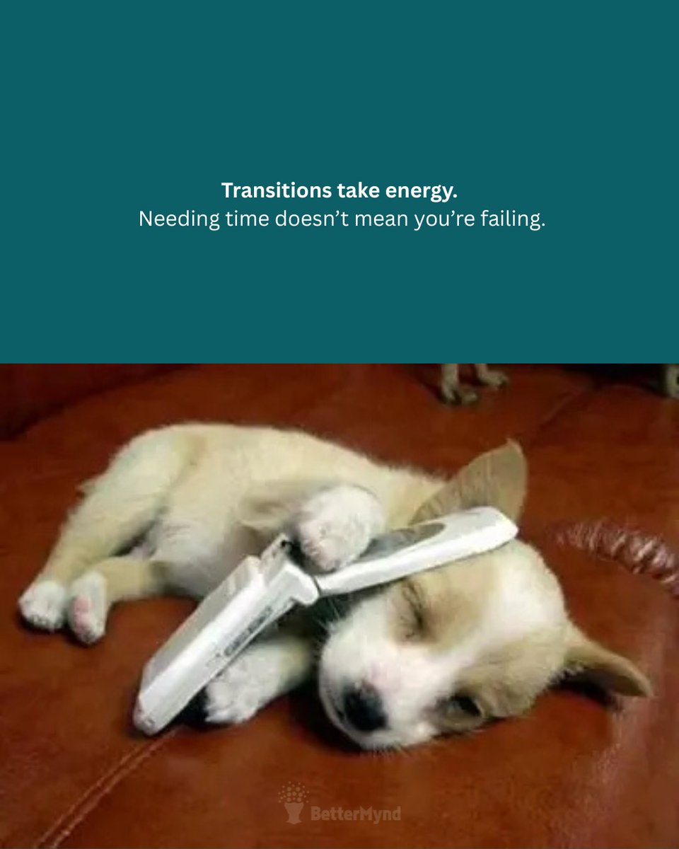 BetterMynd tweet media