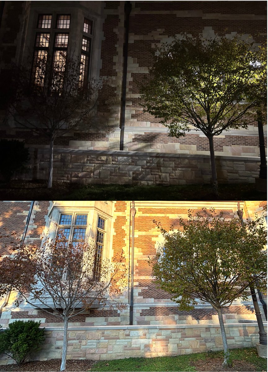 PNAS Nexus tweet media