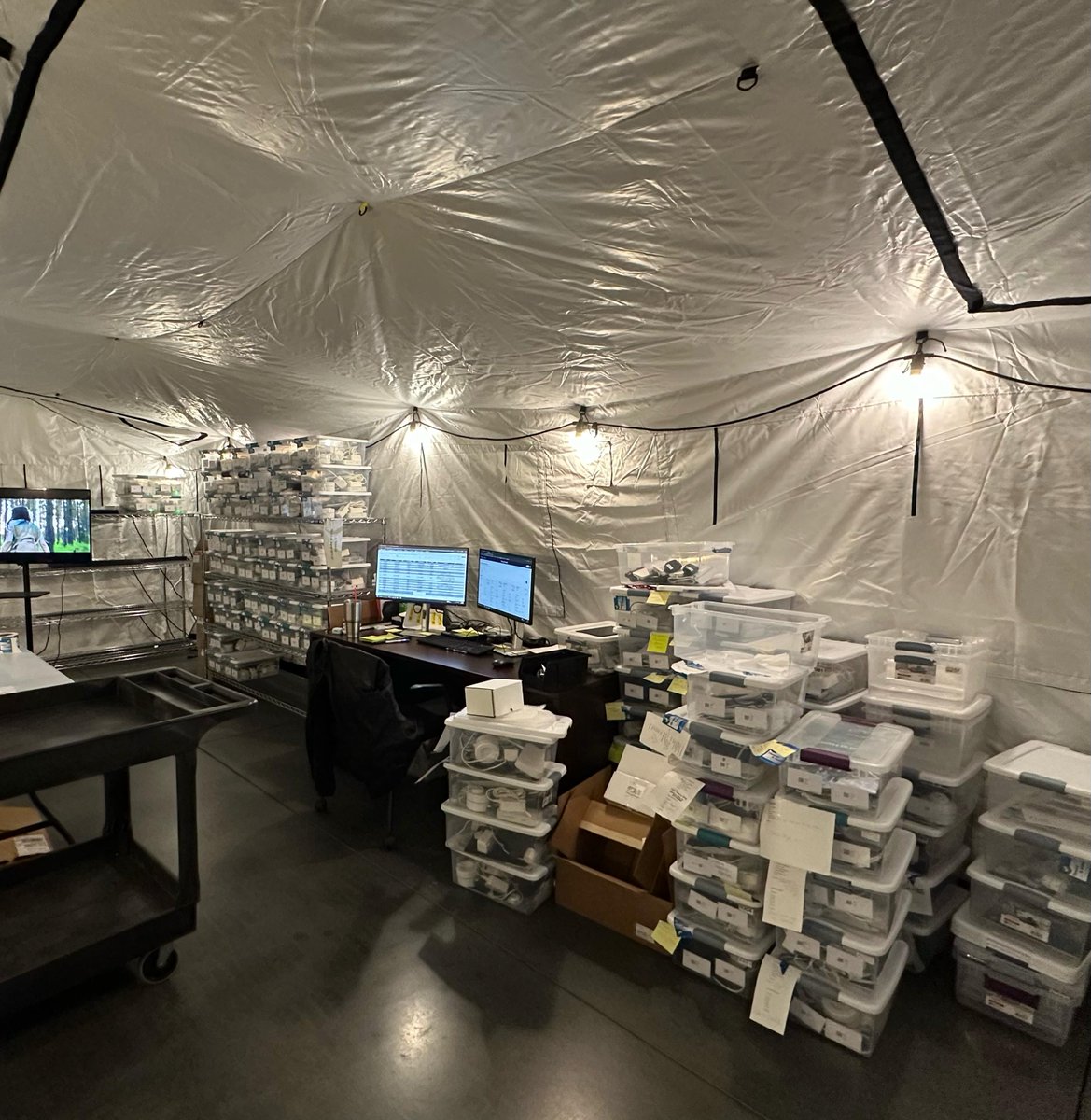 Deployed Logix tweet media