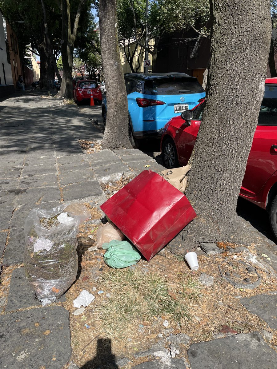 María Balmori tweet media